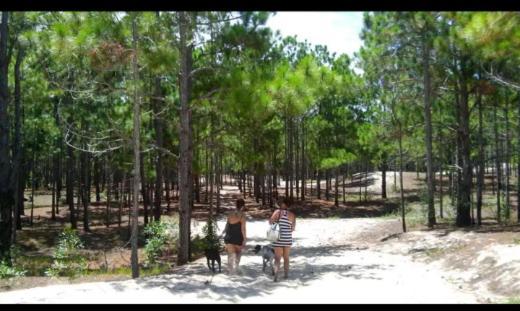 Camping Novas Palmeiras Florianópolis Exterior foto